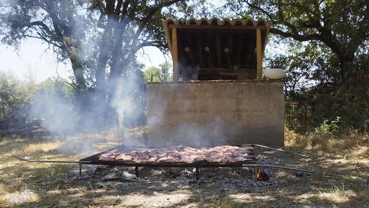 Cuisine d'été